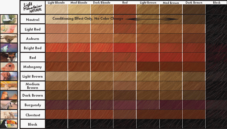 http://www.mehndiskinart.com/images/color-chart2.gif