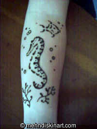 seahorse design